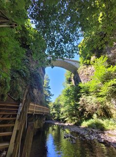Photo de Maren Auer le long du parcours