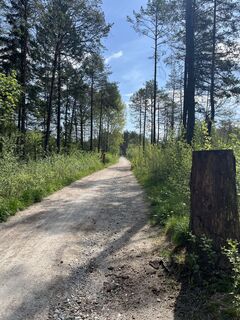 Foto de JoHu a lo largo del recorrido