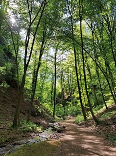 Fotografija s spletne strani Steffen Pydde na poti