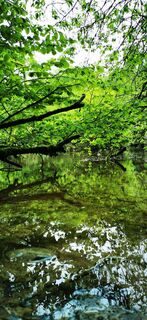 Foto von Klaus Lehner entlang der Tour