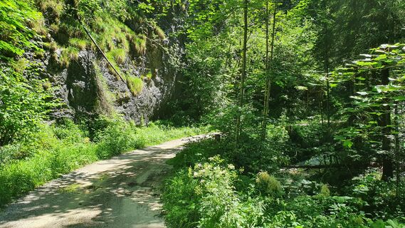 3.3 km Salzabach