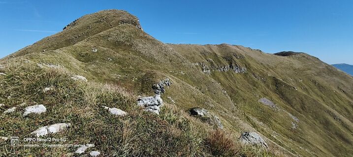Fotografija s spletne strani Sherpa 960 na poti