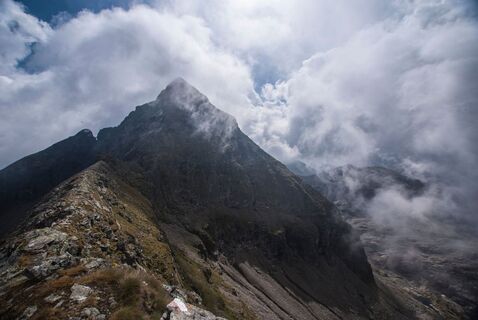 Hochwildstelle