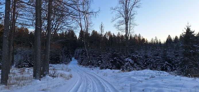 Foto de Deutsch Margit a lo largo del recorrido