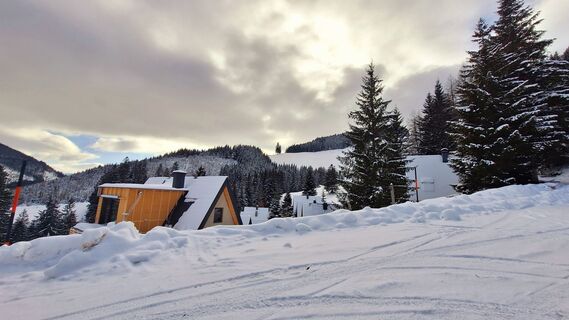Fotografia z Regina Fleischmann na trase