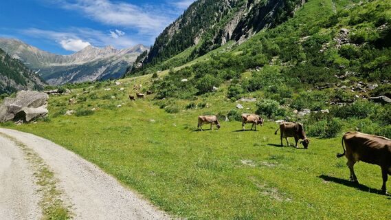 Foto de Gerrit van der Linde a lo largo del recorrido