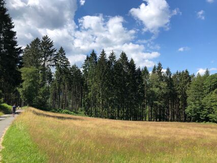 Blick am Sternfeld ins Tal der Misselbach