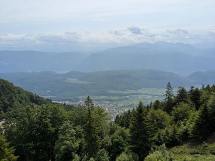 Fotografia z rgreil na trase