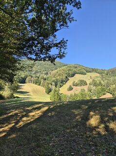 Foto von aliceortler entlang der Tour