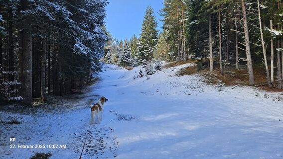 Foto von Klaus Reinhold entlang der Tour