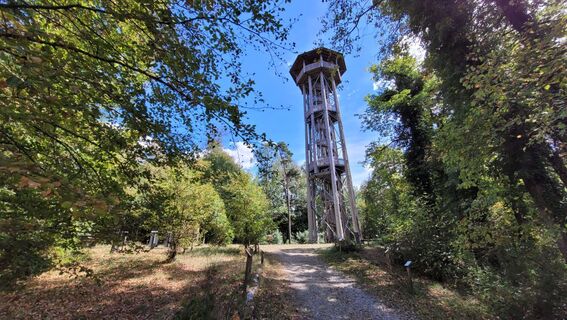 Foto de Max Gisler a lo largo del recorrido