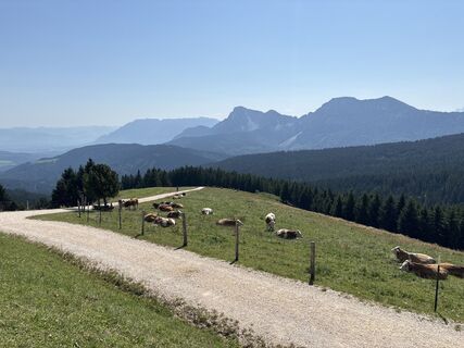 Foto von Heinz Sperl entlang der Tour