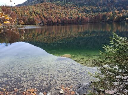 Fotografie z Ralf Gürtler na trase