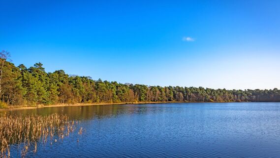 Großer Bullensee am Naturschutzgebiet Großes und Weißes Moor