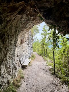 Photo de G. D. le long du parcours