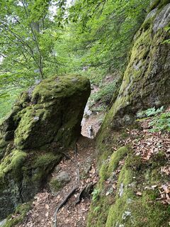 Photo de Babs Holz le long du parcours