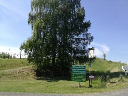 Immer auf der Original-Tour bleiben.