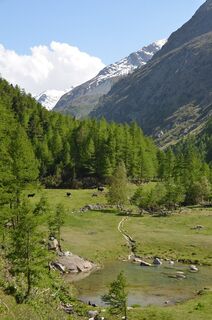 View of the valley