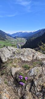Foto von Albert Knollseisen entlang der Tour