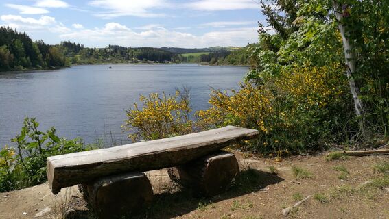 Von der Remptendorfer Bucht nach Isabellengrün