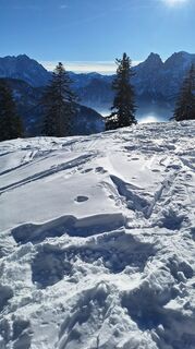 Foto da Aga M lungo il tour