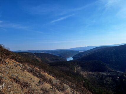 Fotografija s spletne strani Gyöngyi Vályi-Nagy na poti