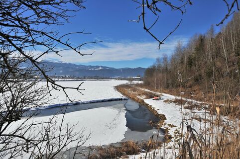 natur historien lehrpfad im winter_img_24280576