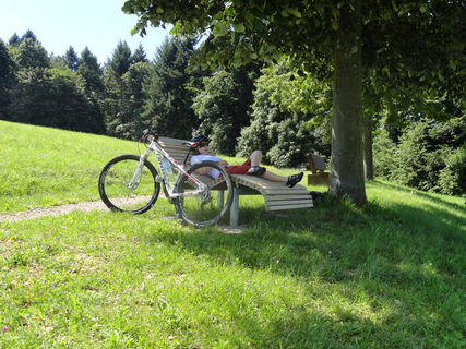 Radfahrer
