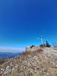 Fotografija s spletne strani Mimi na poti