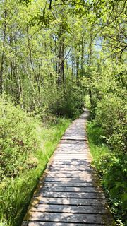 Photo de Adi Lechner le long du parcours