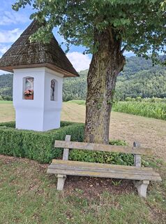 Foto von Mangolein entlang der Tour