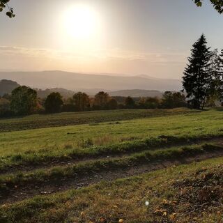 oberhalb Laudenbach