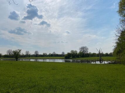 Wasserflächen in der Rheinaue Walsum