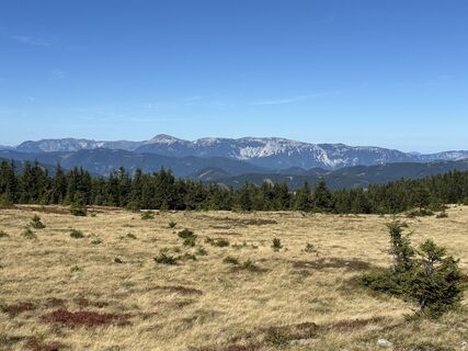 Photo de Georgiamartin0815 le long du parcours