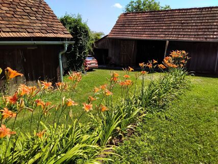 Foto von G.A. entlang der Tour
