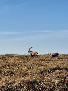 Photo de Ulrich Kromoser le long du parcours