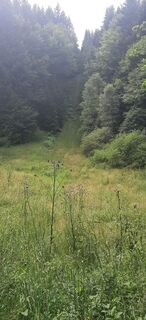 Fotó a Georg Meisterjahn honlapról a túra során