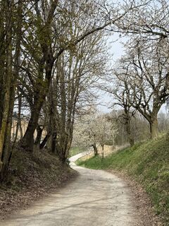 Foto von Susanne Ettl entlang der Tour