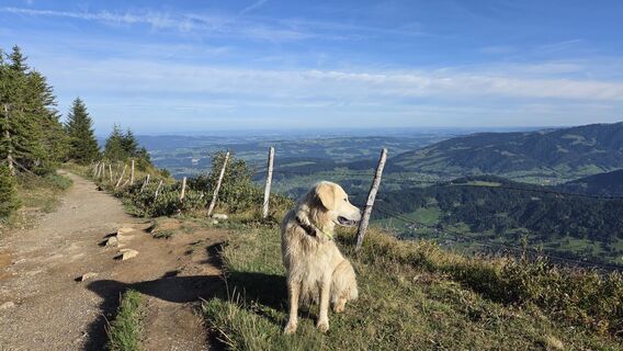 Fotografija s spletne strani V Feurstein na poti