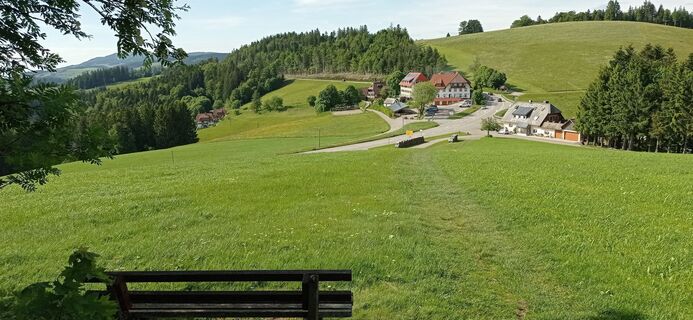 Foto de Reinhard 4 a lo largo del recorrido