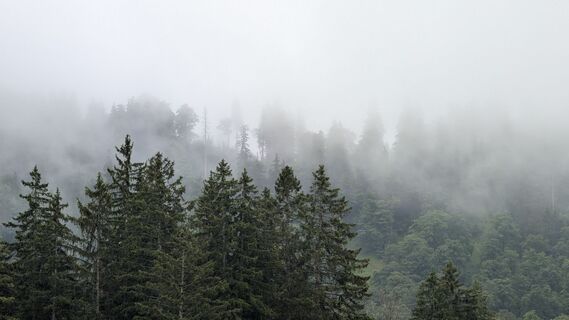 Fotografija s spletne strani Klaus Lehner na poti