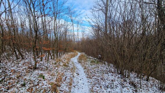 Photo de EP87 le long du parcours