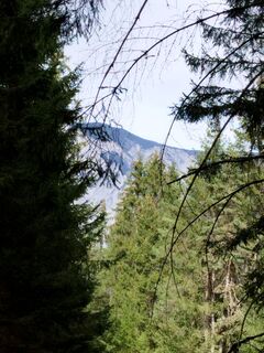 Fotografie z Herbert Rieder na trase