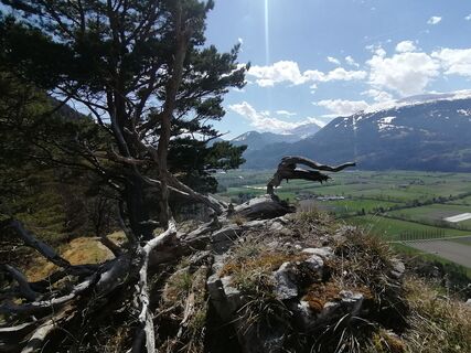 Foto von Turbinio entlang der Tour