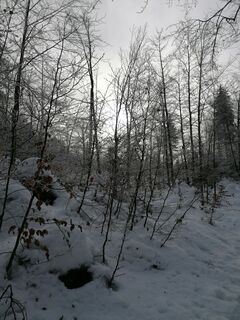 Fotó a Dagmar Hofer honlapról a túra során