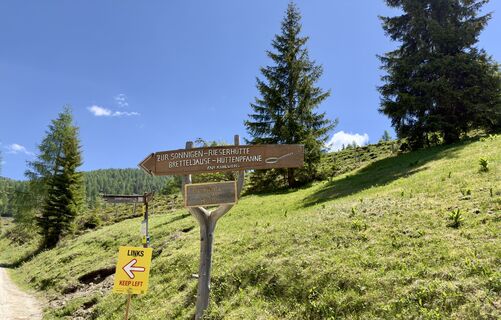 Foto von firebird 93 entlang der Tour