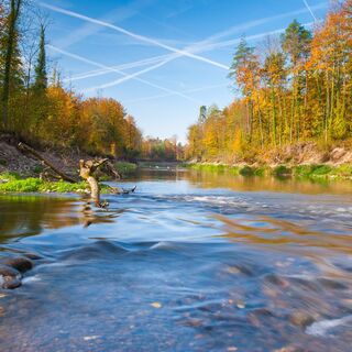 Auenschutzpark Rupperswil