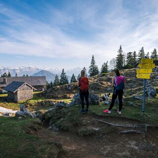 Inzell Kohleralm Gamsknogel