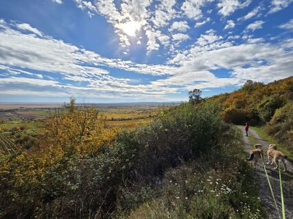 Foto von Thomas Hillinger entlang der Tour