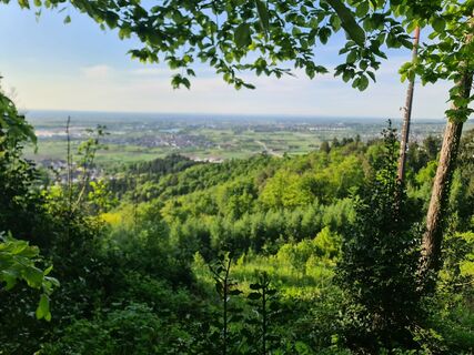 Foto von W B MA entlang der Tour